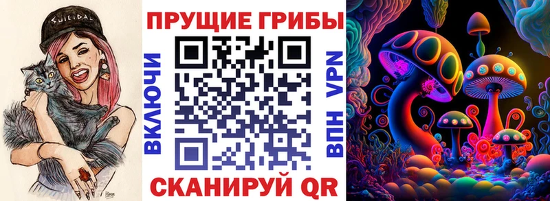 Галлюциногенные грибы GOLDEN TEACHER  закладка  Галич 